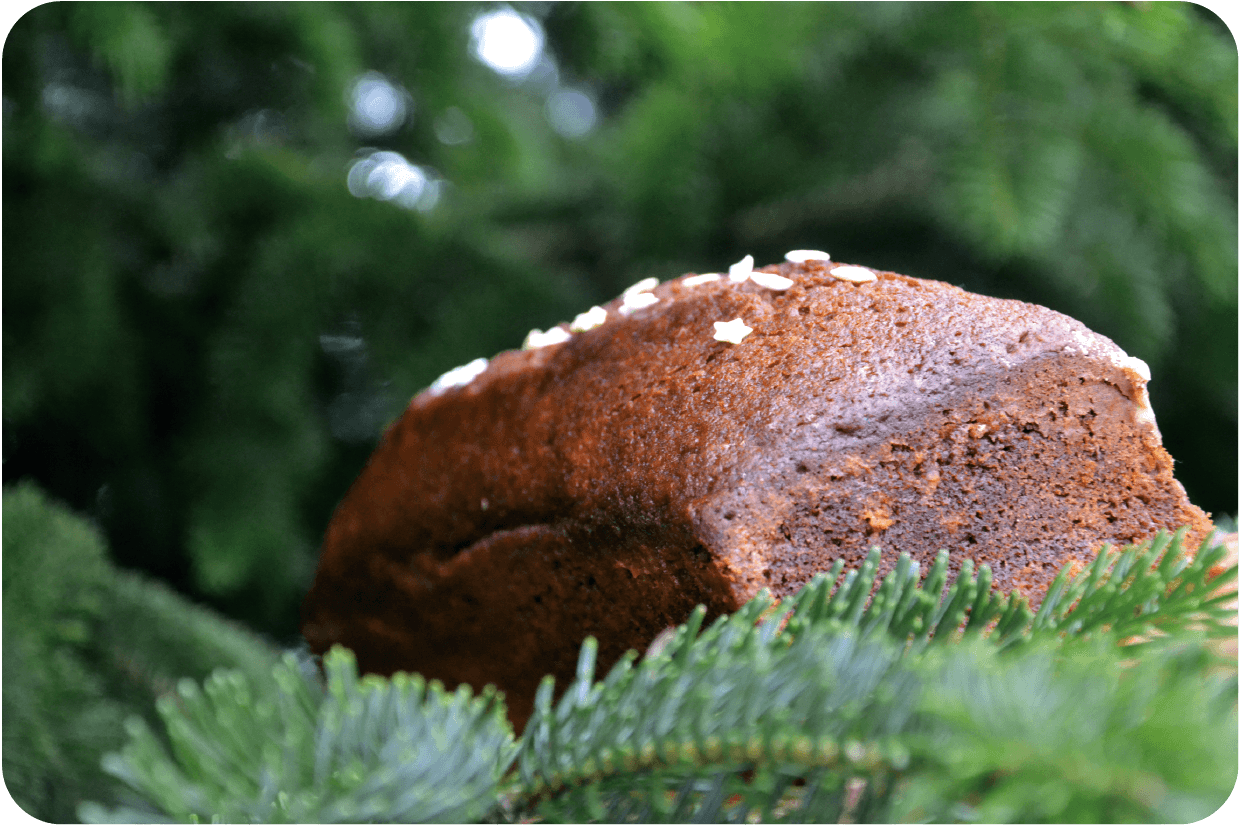 Pain d'épices fait maison