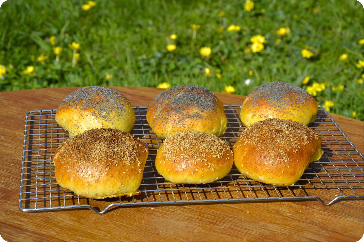 Pains burgers maison