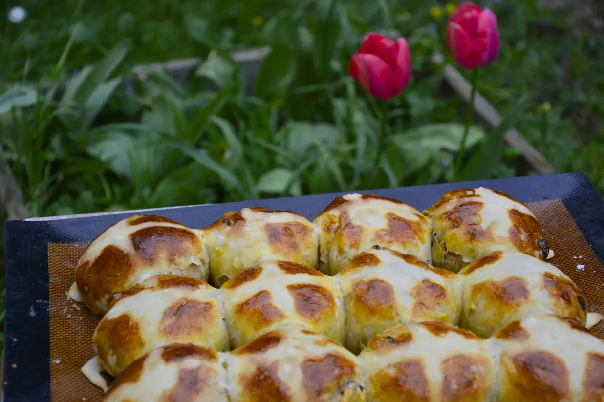 Hot cross buns et tulipes
