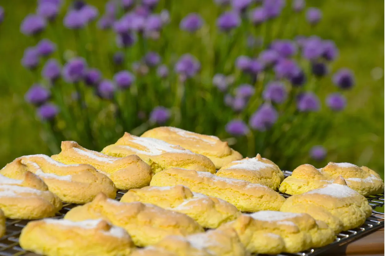 Biscuits à la cuillère faits maison posés sur une grille, pris en photo dehors devant une ciboulette en fleurs