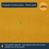 Recalé zoom sur le craquant cordon jaune avec tâche noire