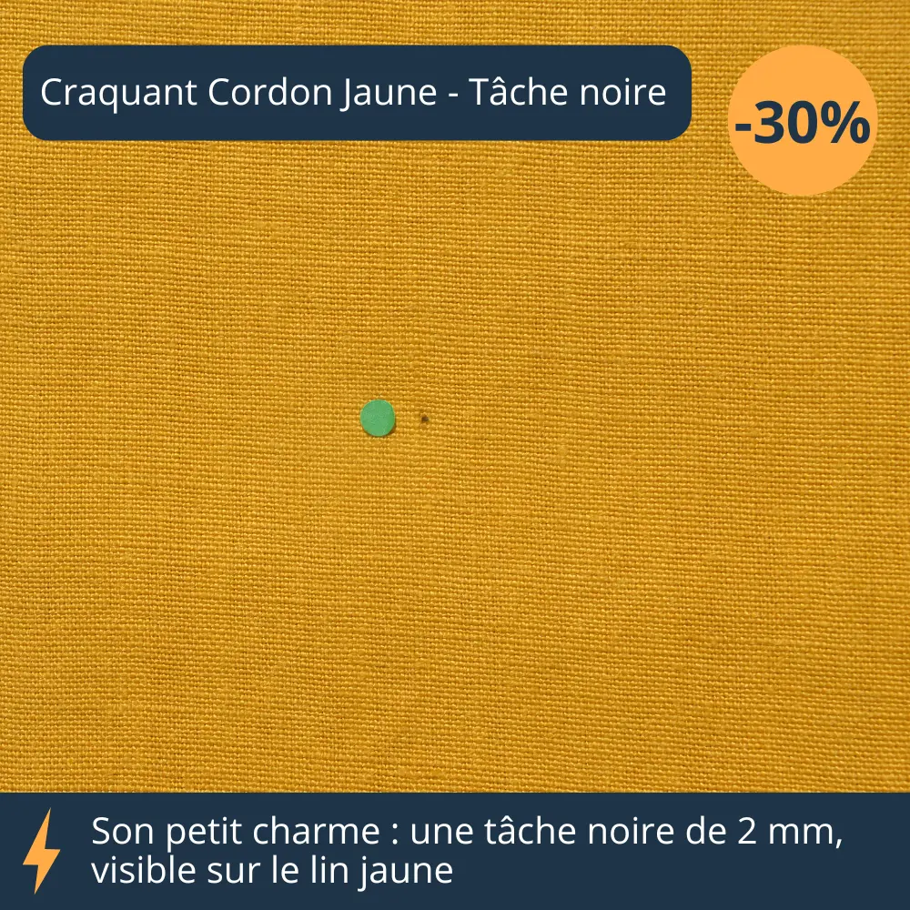 Recalé zoom sur le craquant cordon jaune avec tâche noire