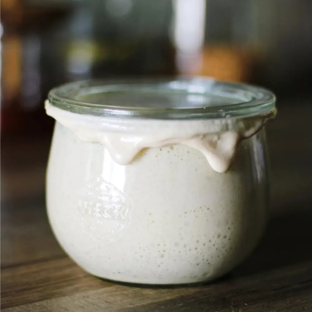 Levain dans un bocal en verre