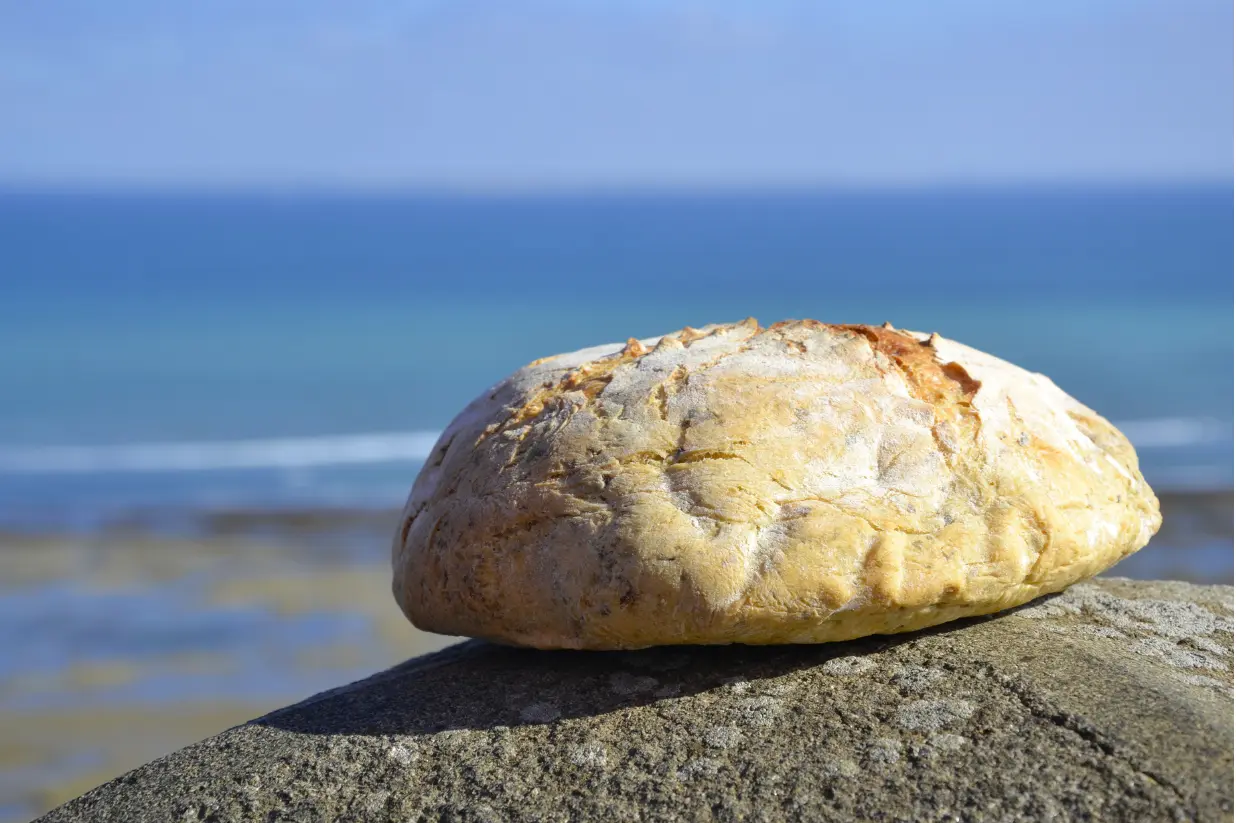 Pain aux algues posé entier sur un rocher