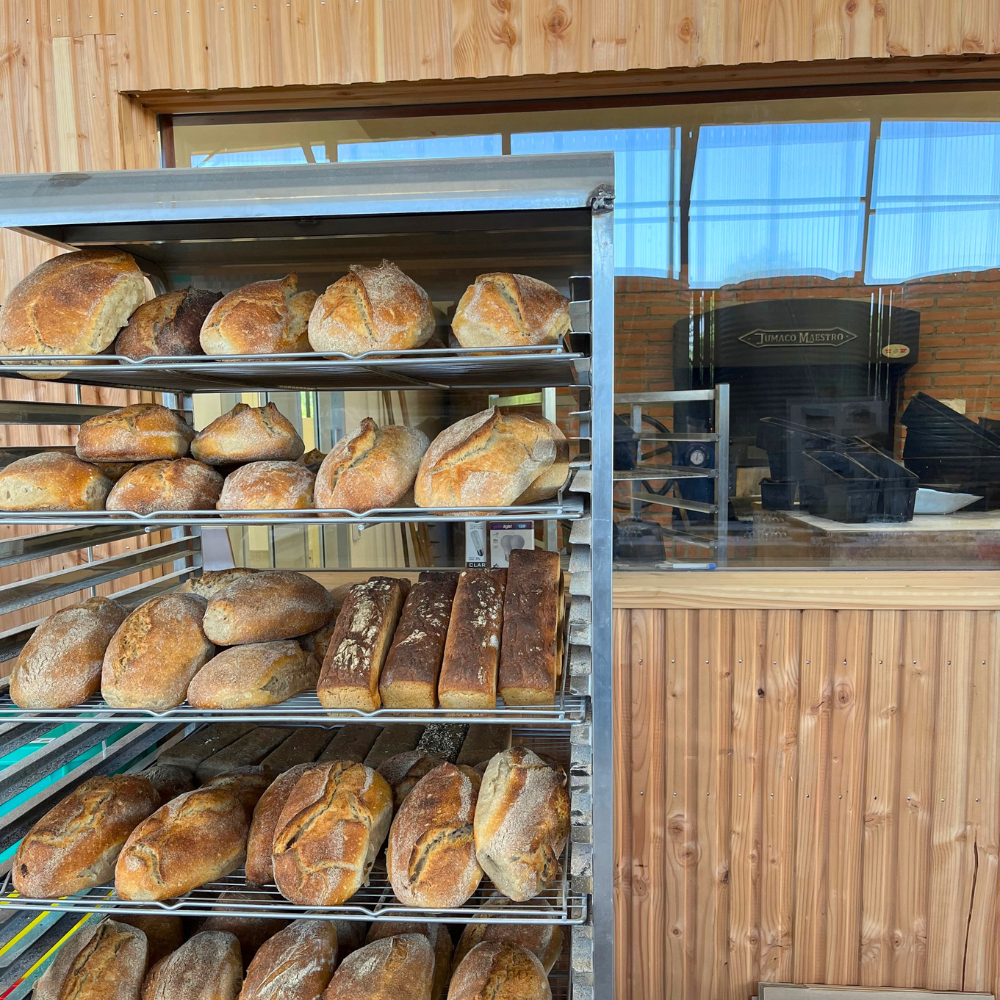 Visite d'un fournil fabriquant des pains au levain